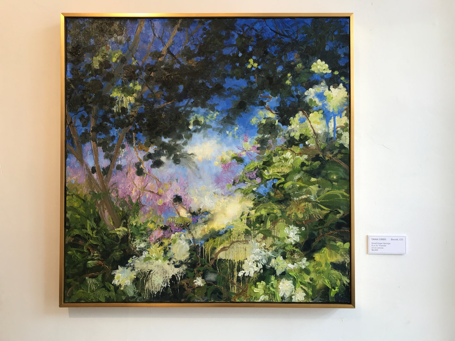 Tania Dibbs - Small Hope Springs