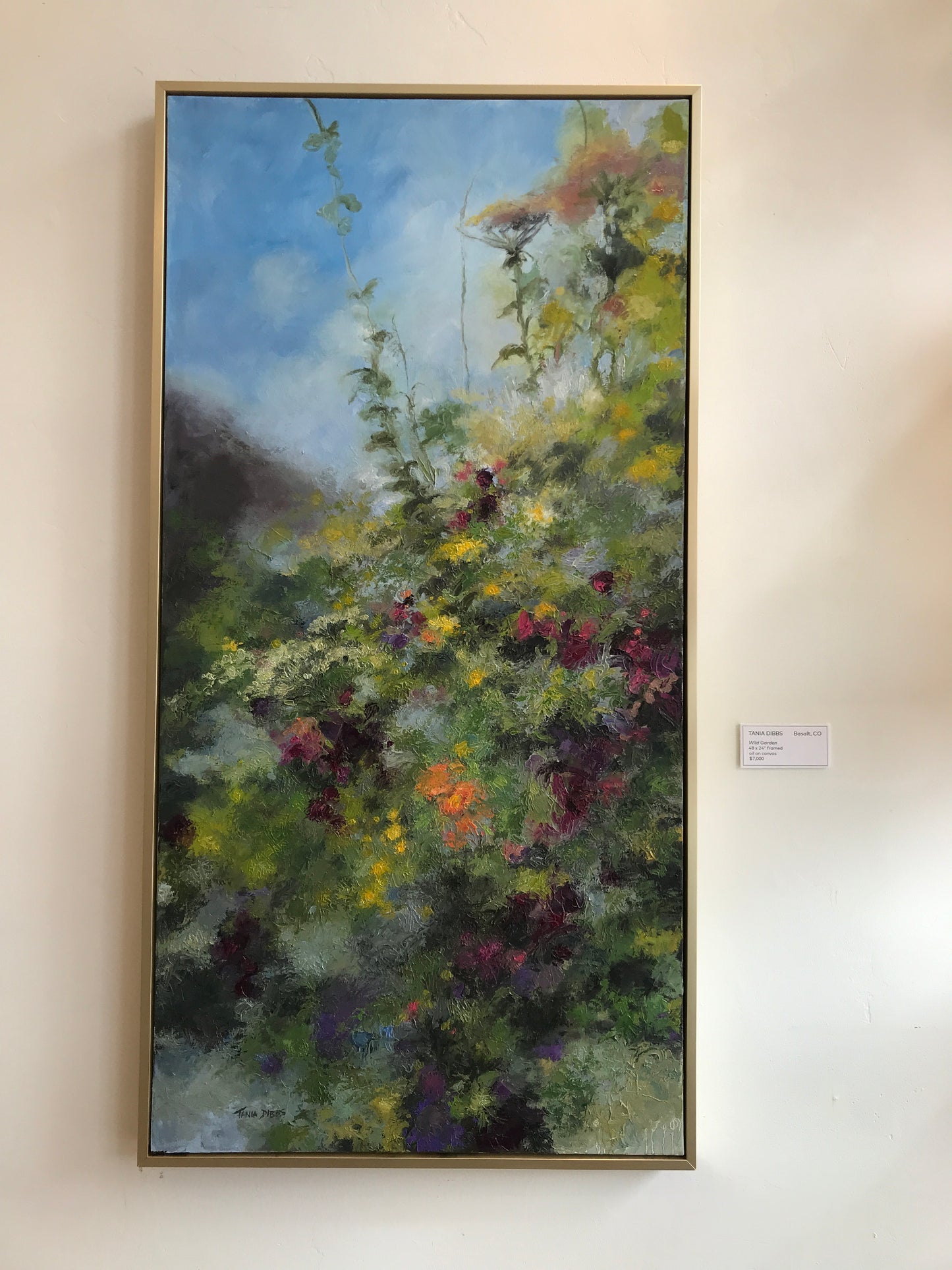 Tania Dibbs - Wild Garden
