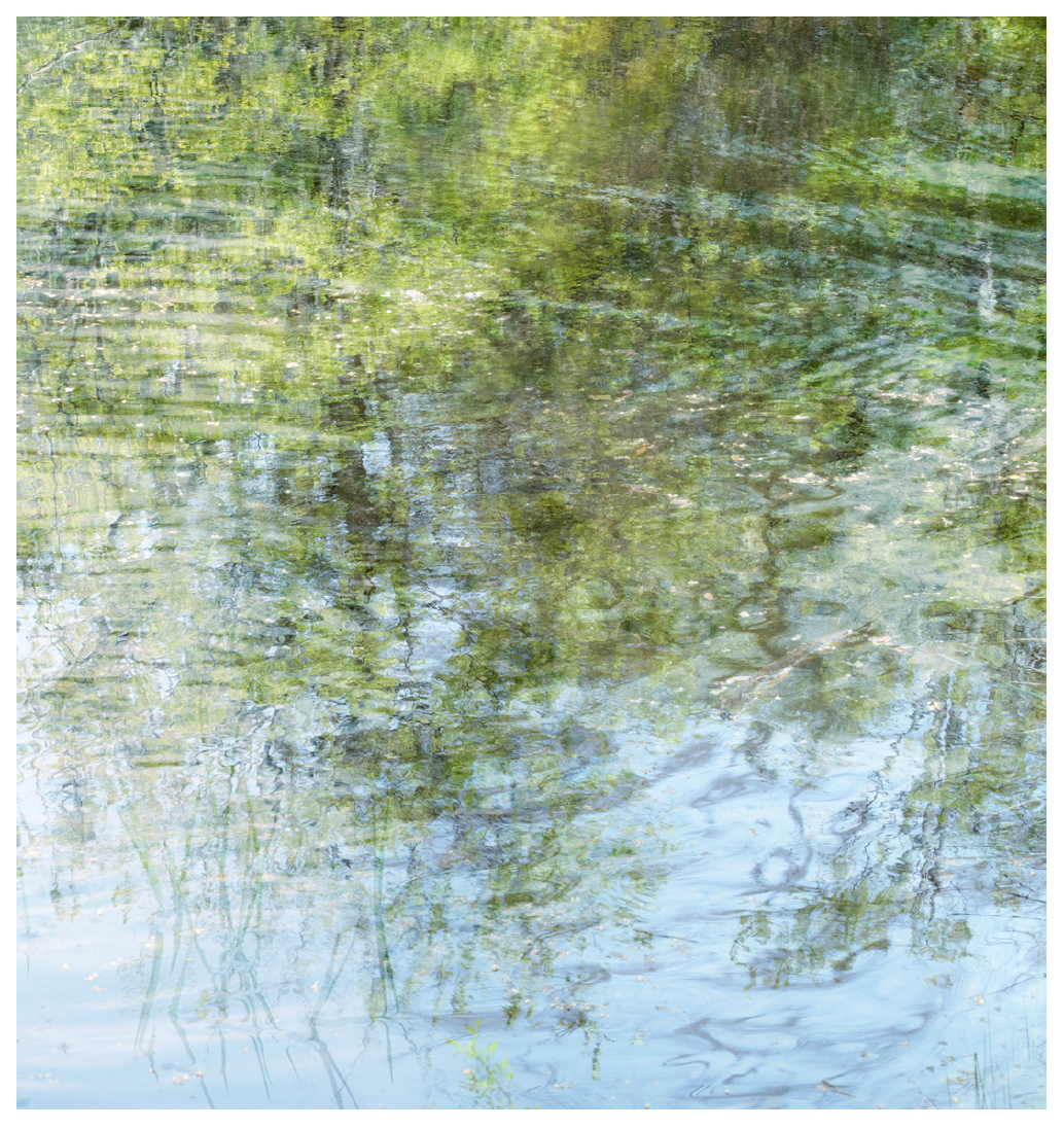 Deb Shannan - 6. Spring Green Reflections