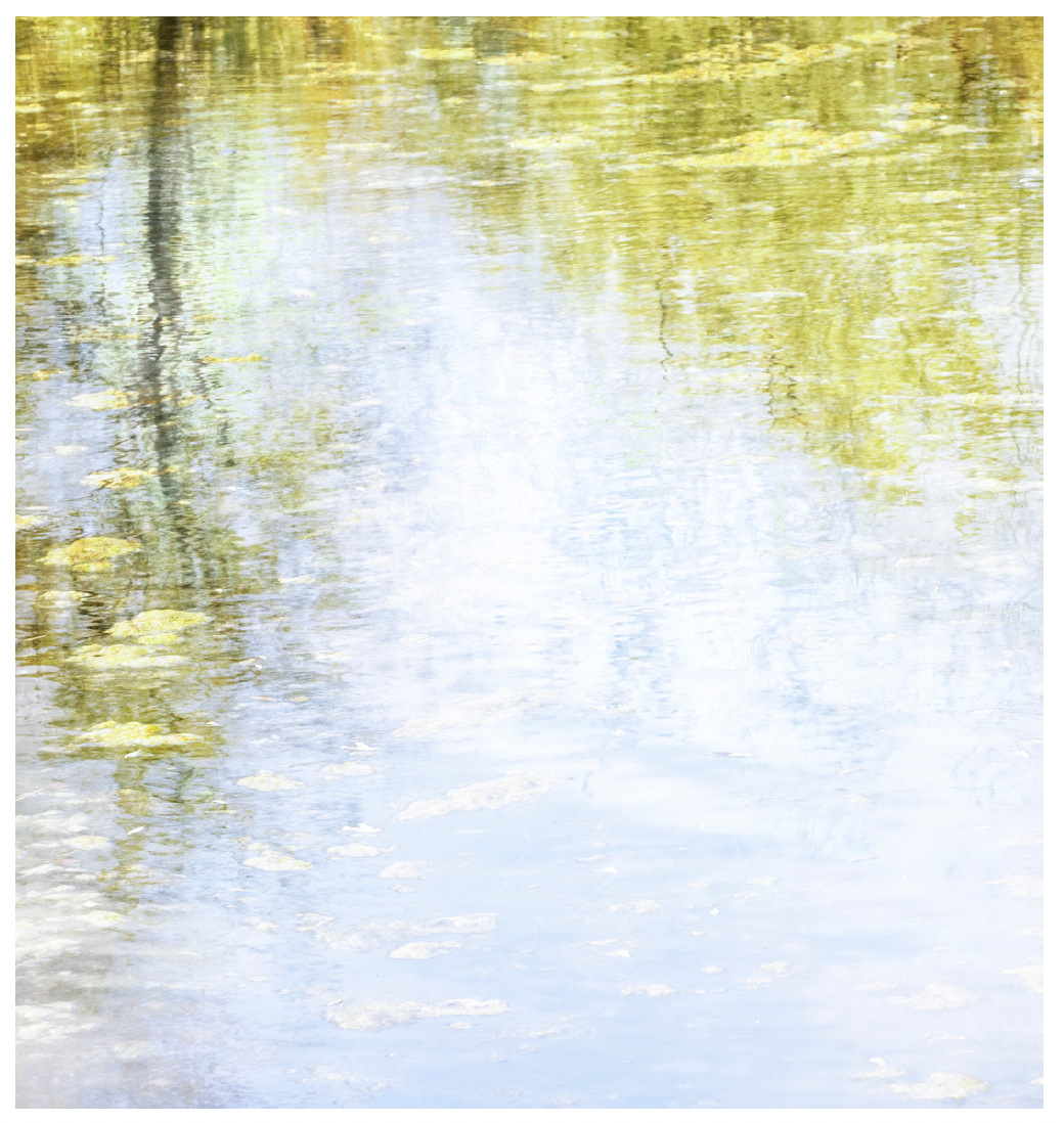Deb Shannan - 7. Summer Back Pond Reflections