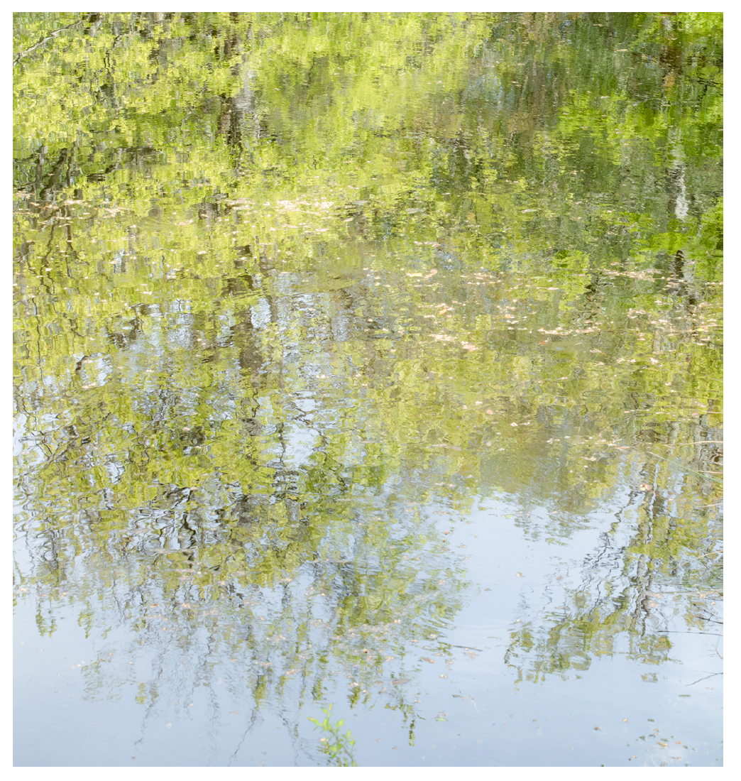 Deb Shannan - 11. Stover Spring Reflections