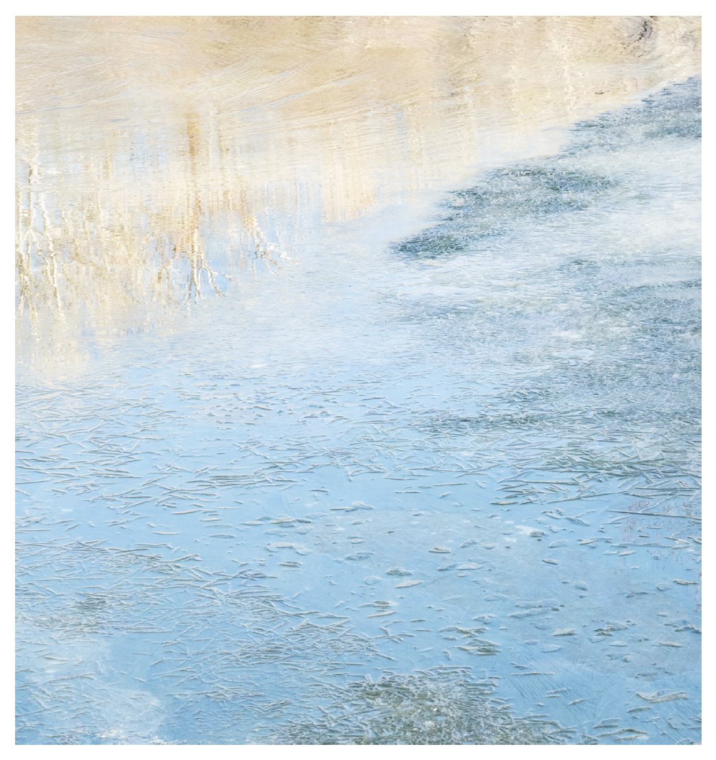 Deb Shannan - 16. Ice and Aspen Reflections