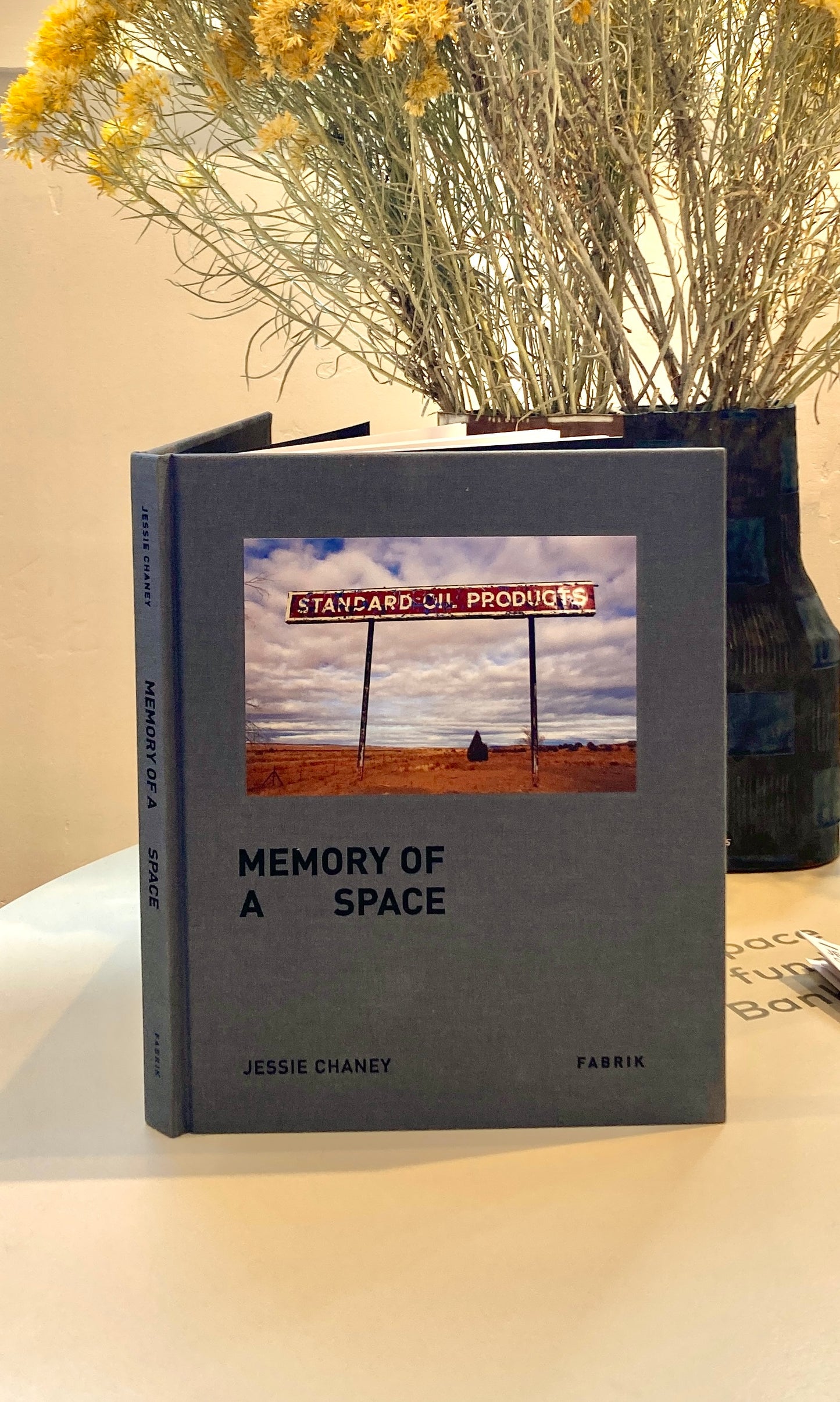 Book - Memory of A Space, Jessie Chaney