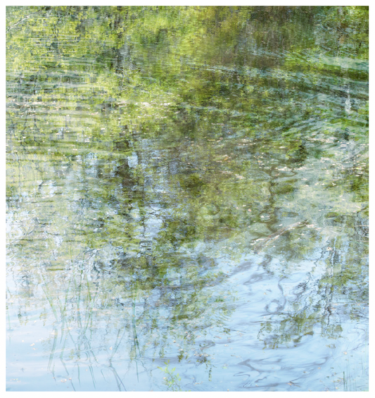 Deb Shannan - 6. Spring Green Reflections