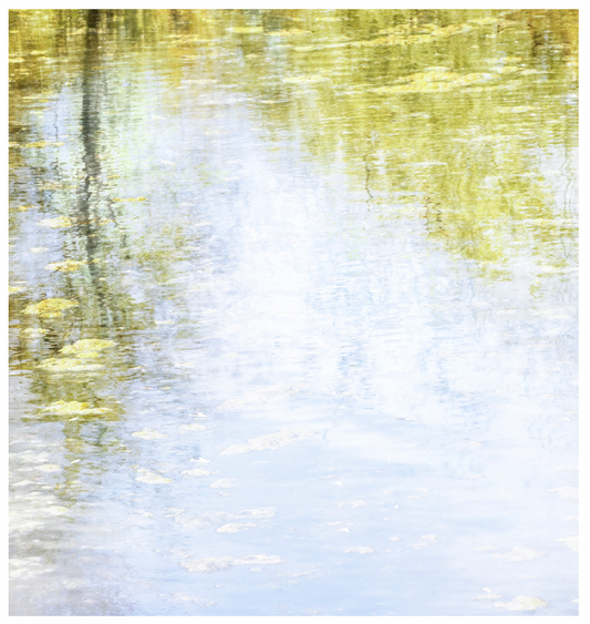 Deb Shannan - 7. Summer Back Pond Reflections