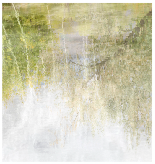 Deb Shannan - 8. Russian Olive Reflections
