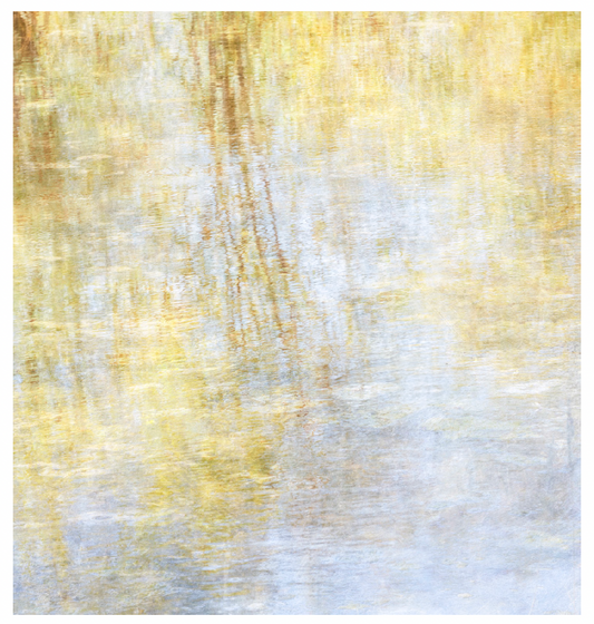 Deb Shannan - 9. Fall Back Pond Reflections