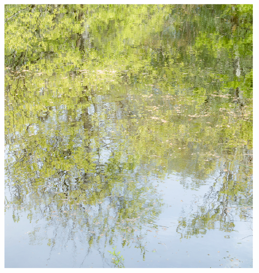 Deb Shannan - 11. Stover Spring Reflections