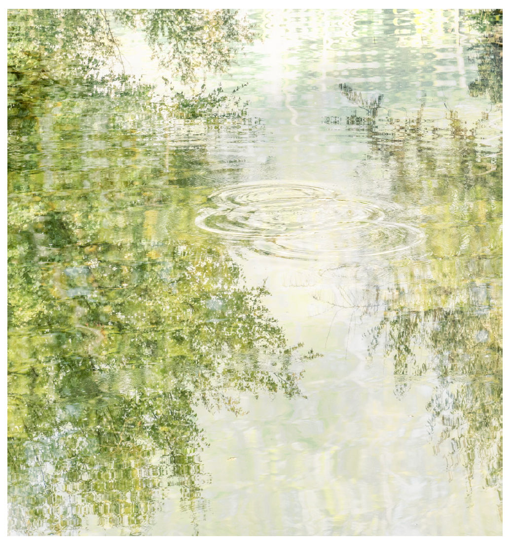 Deb Shannan - 12. Summer Splash Reflections
