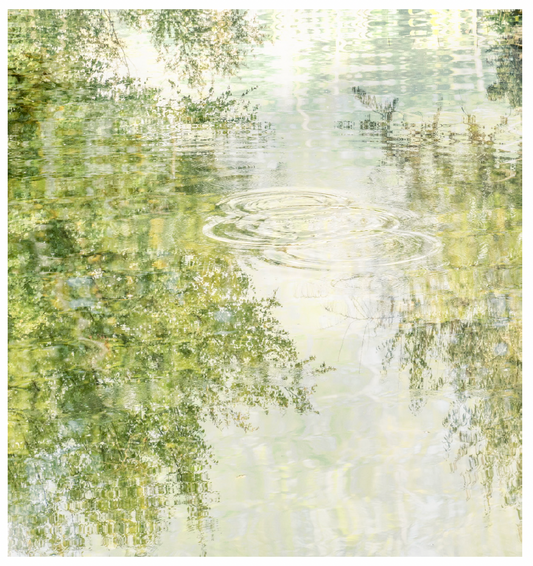 Deb Shannan - 12. Summer Splash Reflections