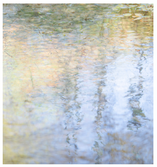 Deb Shannan - 13. Fall Aspen Reflections