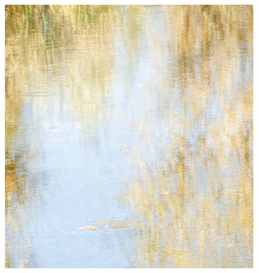 Deb Shannan - 14. Single Leaf Reflections