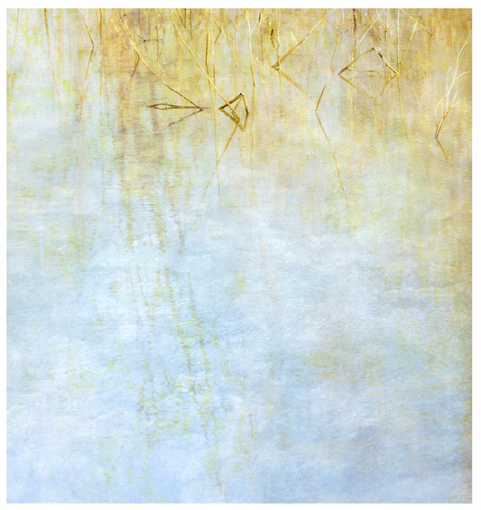 Deb Shannan - 15. Winter Stalks